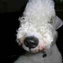 Marilyn Mize - @Moon_Pie_0513 - Twitter