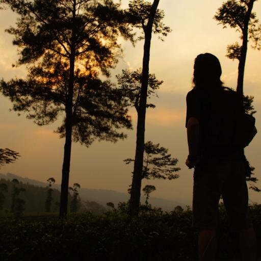 vaniblinx's profile picture. 