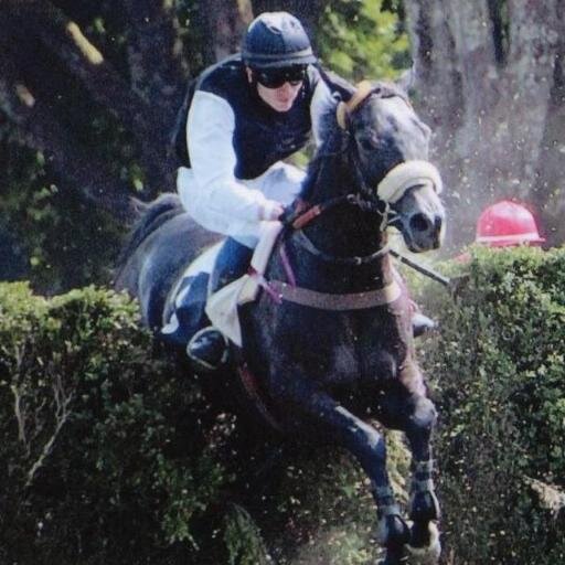 Dream it and make it real!! 🐎💨✨✨ ✨✨✨Chauvigny Global Equine 🤝✍️🎩🥇 International Bloodstock Agent based in France 🇫🇷+33752627970