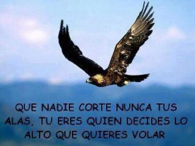 Megaloca's profile picture. Me gusta el viaje de la Mente al Corazon en la busqueda de tener mente y espiritu sanos y libres y entender mejor a los demas Me apasiona LA FAMILIA