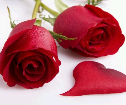 hhh77771388's profile picture. 