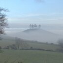 Annabel King - @annijking - Twitter