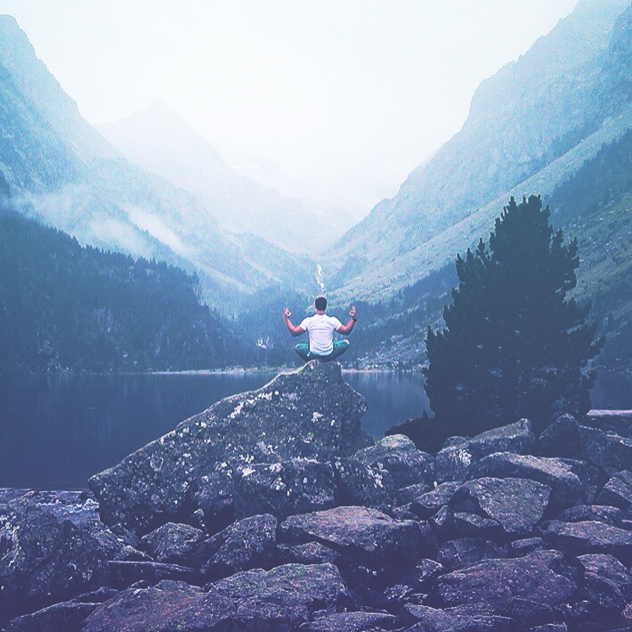 chill_thoughts_ Profile Picture