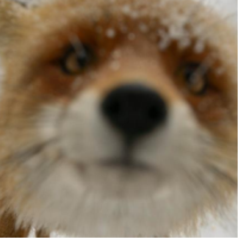 quraxn's profile picture. 