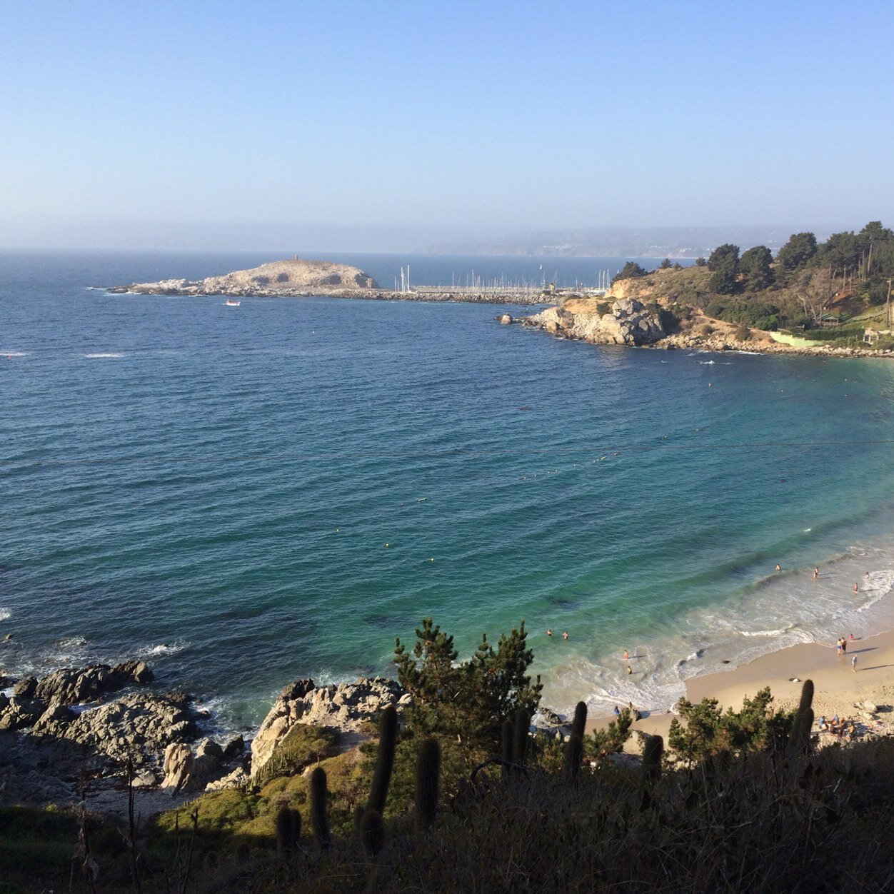 FbravoFelipe's profile picture. 