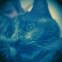 Donna Cerza - @dfcerza - Twitter