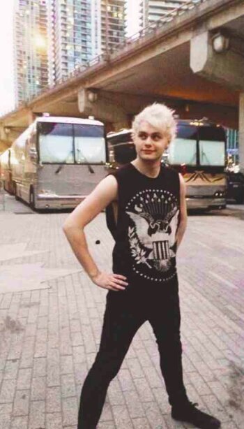 I like taylor swift and 5sos quite a lot
