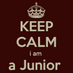 PHS Junior AP (@piperjunioradm) Twitter profile photo PHS Junior AP (@piperjunioradm) Twitter profile photo