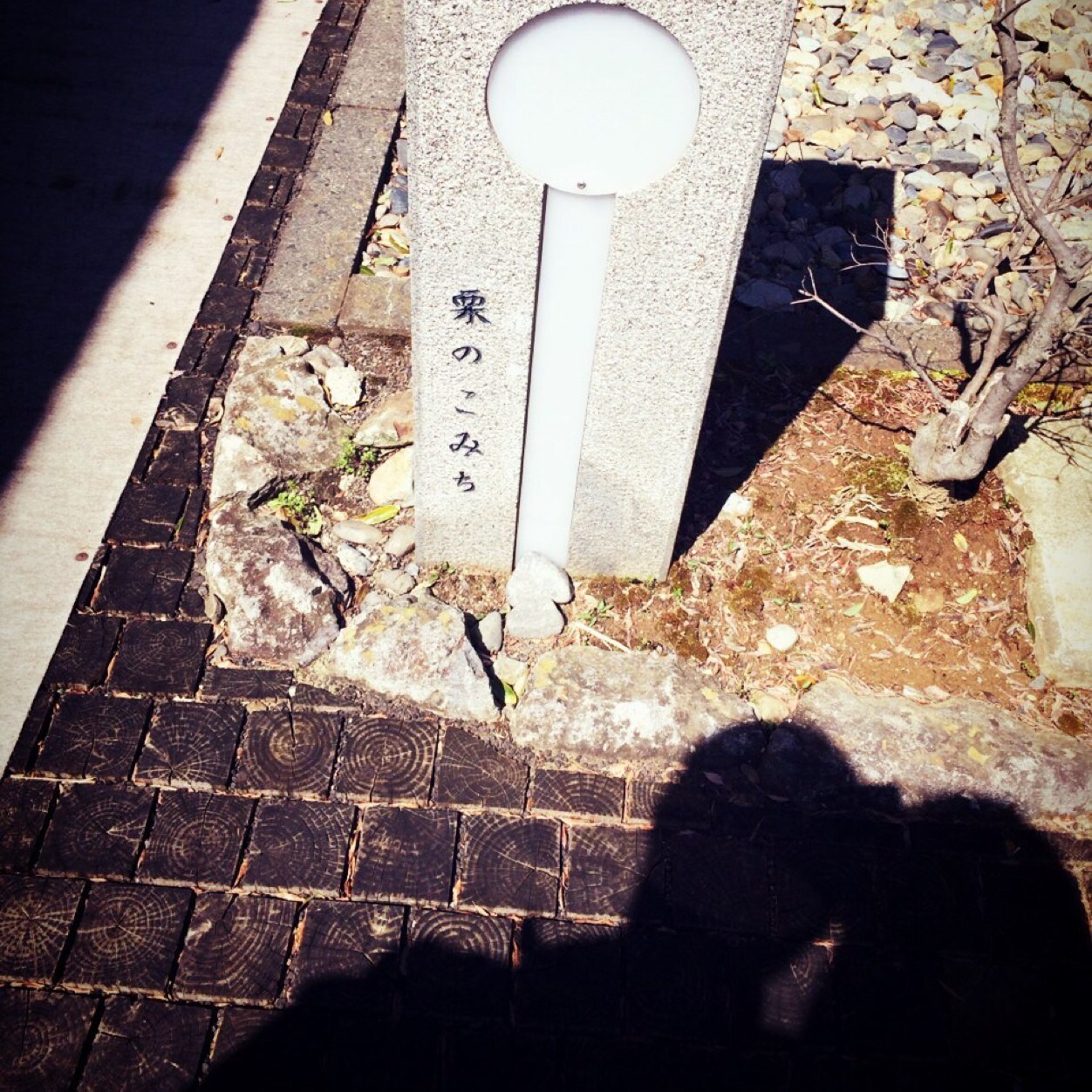 cherrymiru's profile picture. プジョル。大好き。