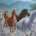 patrick herman tandi - @phtnnddd - Twitter