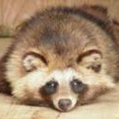 垢消します