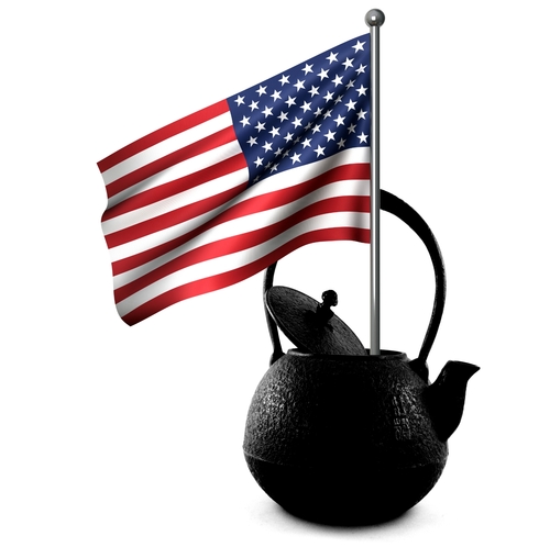 NoCoTeaParty's profile picture. 