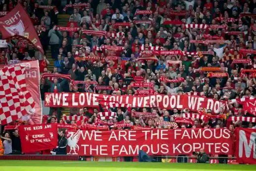 The world is a better place if we help each other grow together 😍. Simple and easy going. Liverpool fan for Life 🧬 YNWA💪🏼
