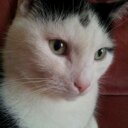 Susan Chadwick - @sc6923 - Twitter