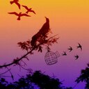 احبك ربي (@0504774) Twitter