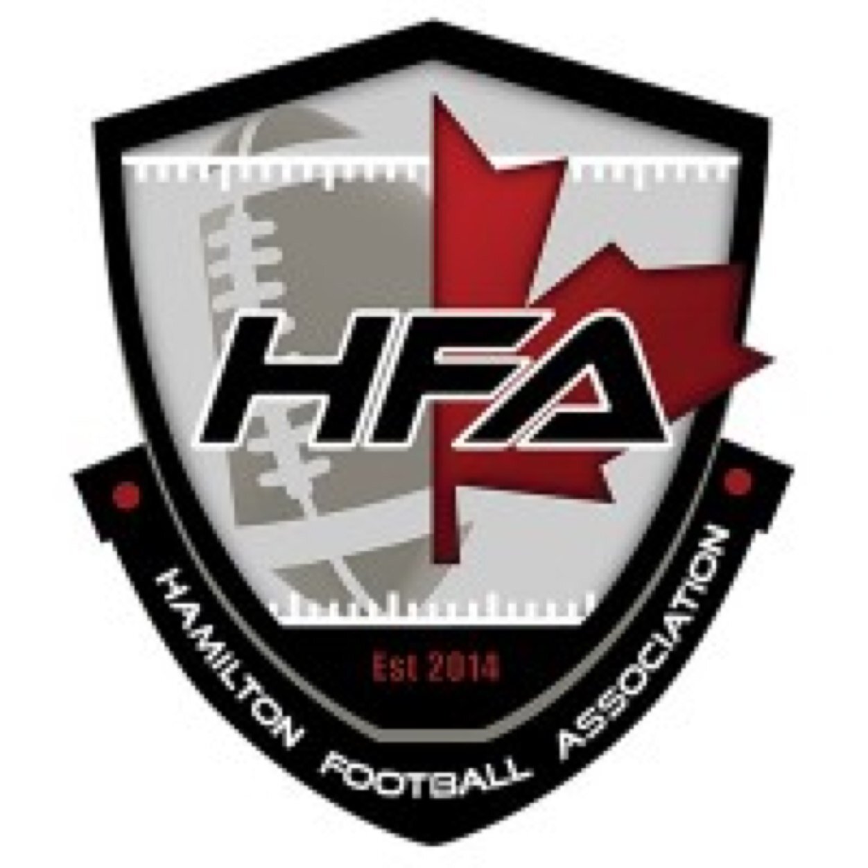 HFATicats's profile picture. Football Hamilton! *Tweets from and about the Hamilton Football Association Jr and Varsity Ticats* Play Like The Pros* or **preparing for the next level**