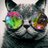 Sari_SLA's profile image