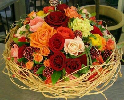 BMutsers's profile picture. 