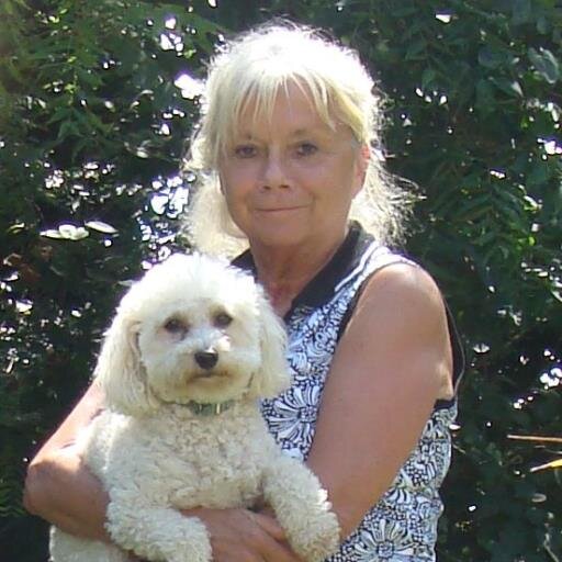 Survivor of PTS and Depression. Hard  and Painful Mental Health Work. But Can Be Done I am Proof!