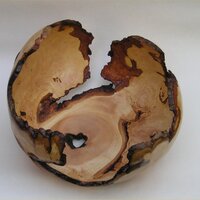 Ingrained (@fromthelog) 's Twitter Profile