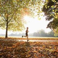 parkruns's profile picture. All things parkrunning #parkrun fan account