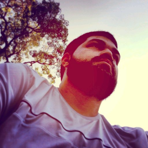 cssrulez's profile picture. 