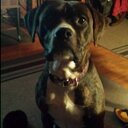 Kylee Mckay - @mckay1215 - Twitter