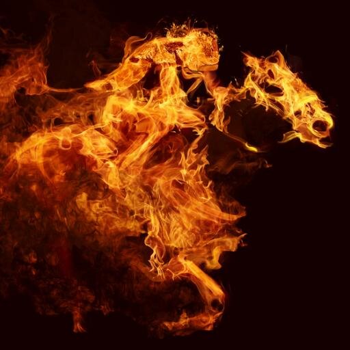 Horse racing analysis team that identify horses to be followed based on the previous form. No tips, no gimmicks, just very profitable horses to follow.