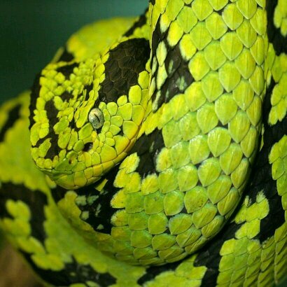 Jasondavis1008's profile picture. hi mom