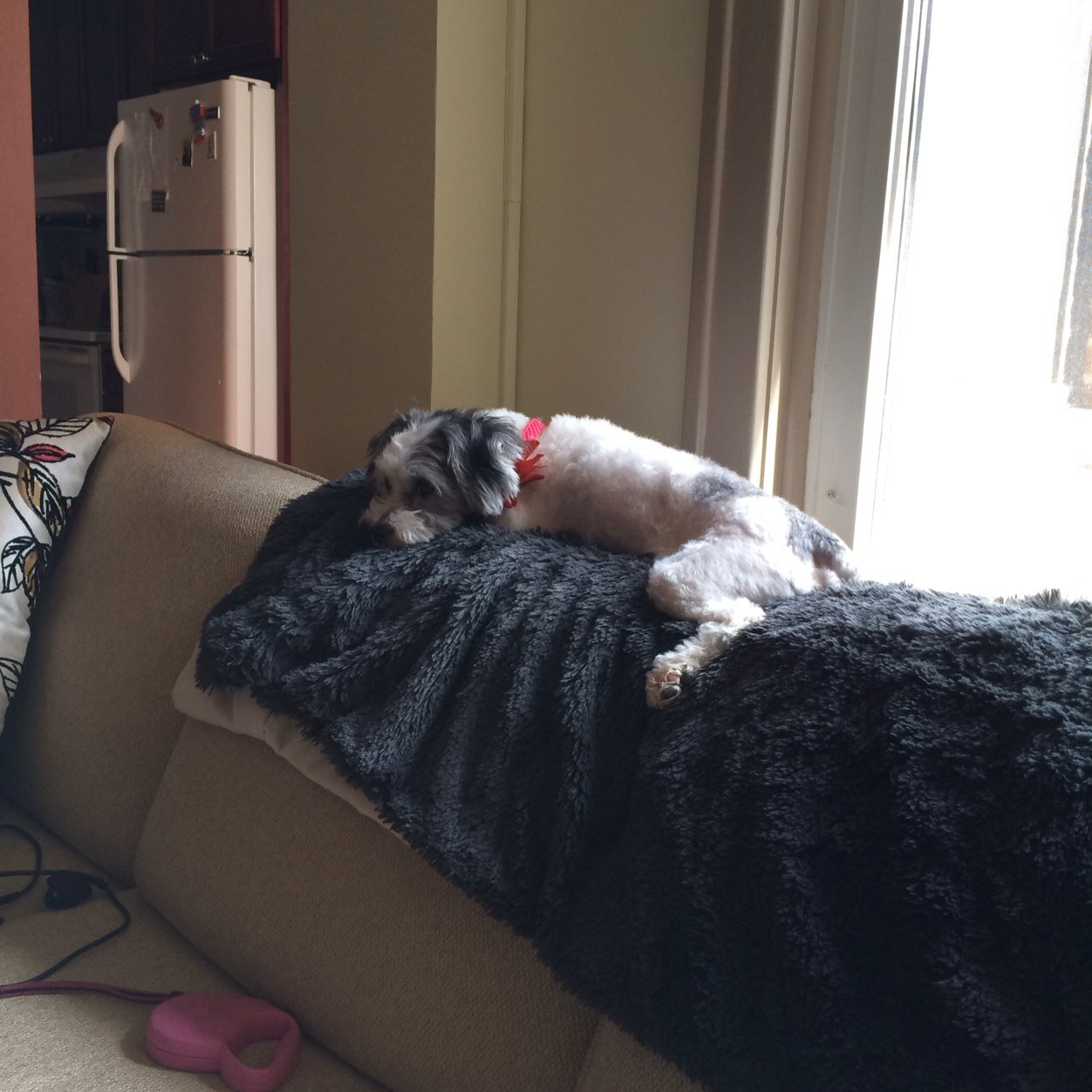 Fill_meyer's profile picture. 