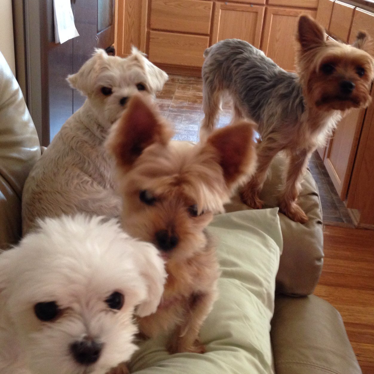 luv2byrd's profile picture. 