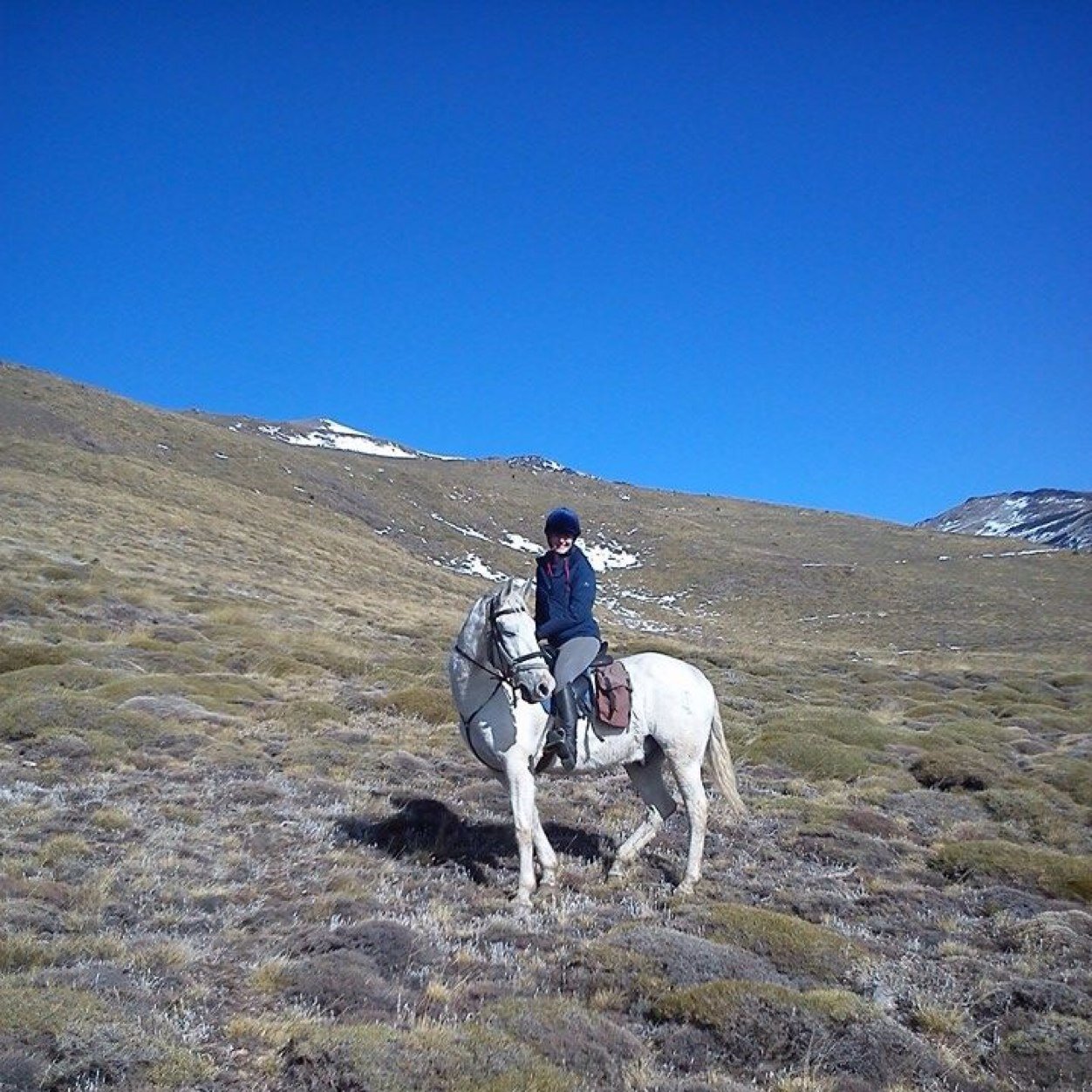 Likes animals exersize enerprize and vegan snacks.