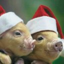 Paula Byer - @ByerPaula - Twitter