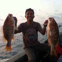 M. ANDI JABJAMIN (@jabjamin) 's Twitter Profile