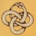 Mike Townsley (@slightlfubar) Twitter profile photo