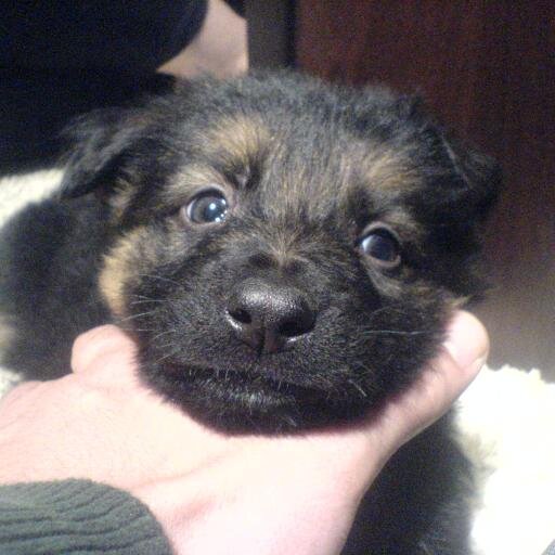 DimitrisOlga26's profile picture. 