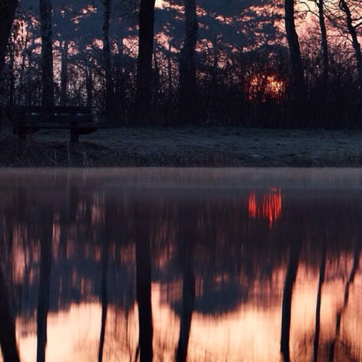 jbjlja's profile picture. 