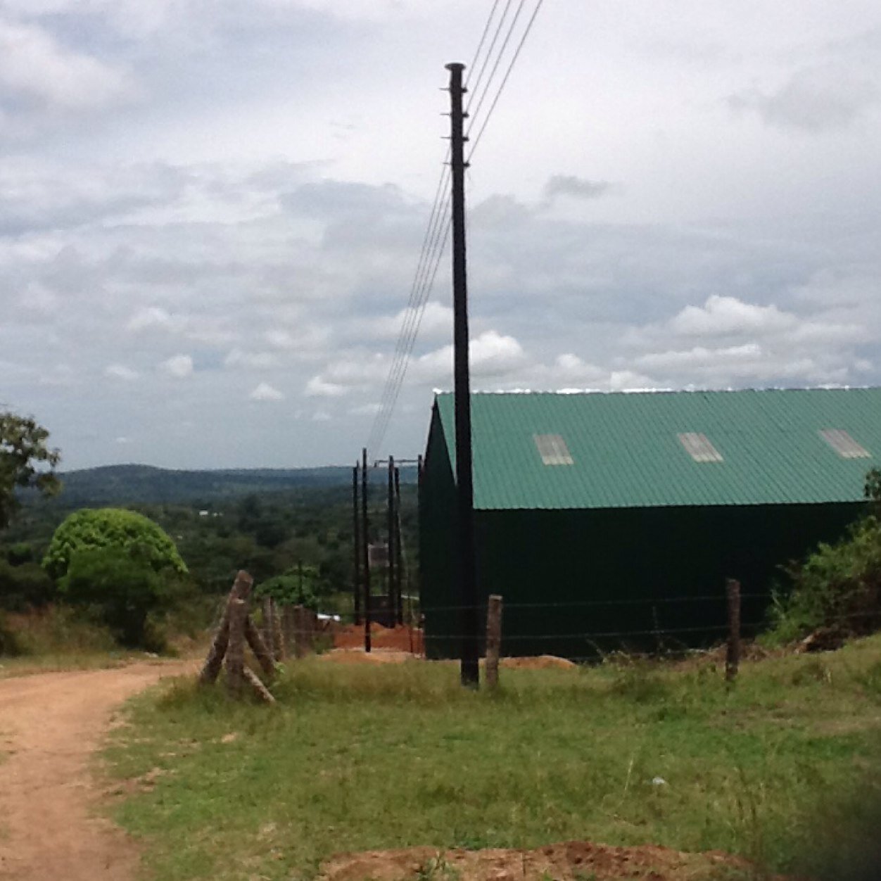 musonso's profile picture. 