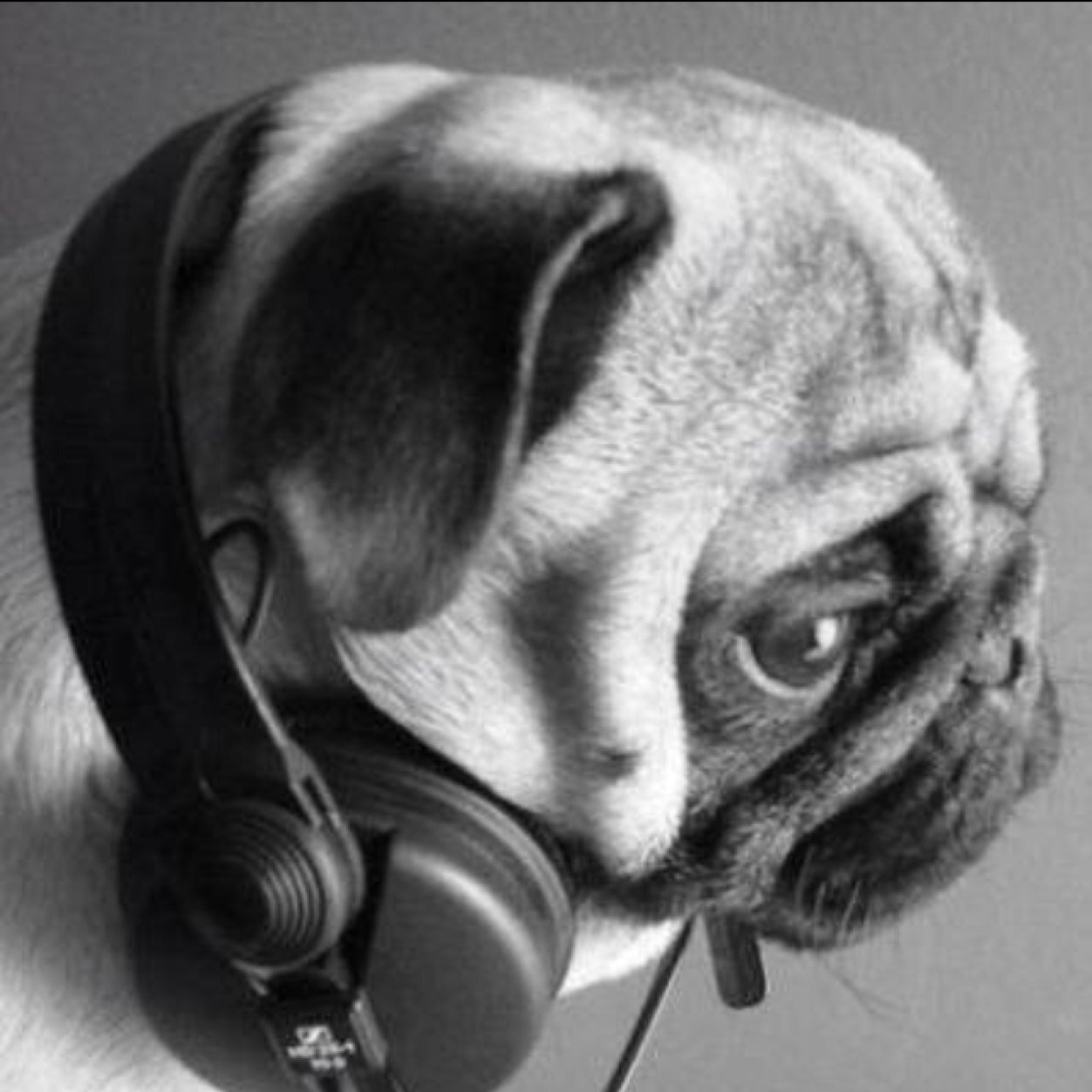 xabier497asti's profile picture. Ahora mismo jugador del derio!