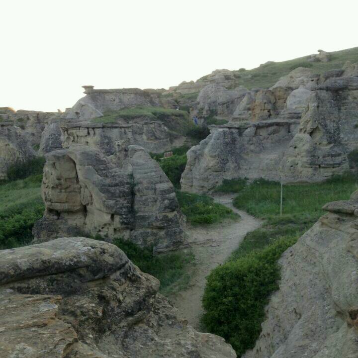 RitchieTucker's profile picture. 