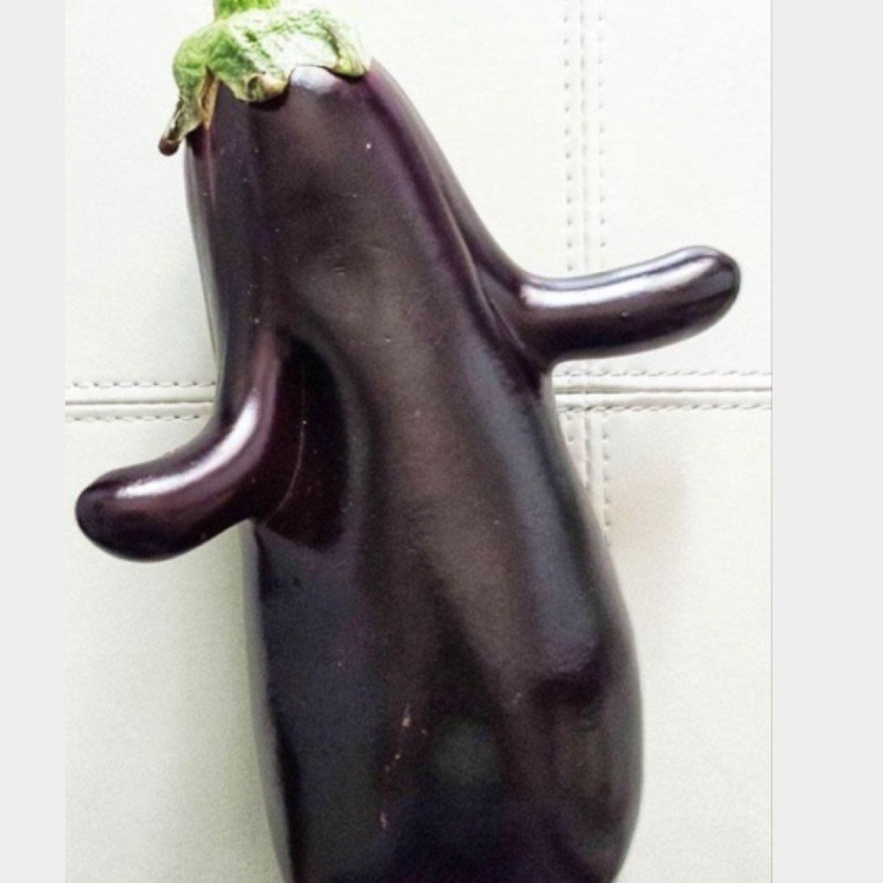 FactzEggplant's profile picture. Follow for tasty and delicious eggplant facts