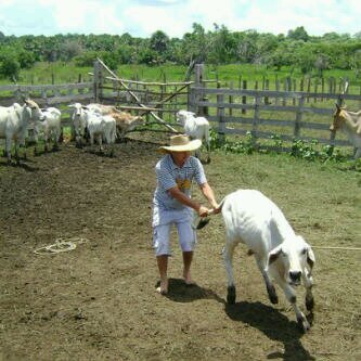 DavidHS29's profile picture. llanero...