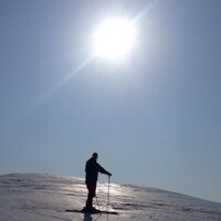 Alexander Karlsen (@alex_karlsen_) 's Twitter Profile