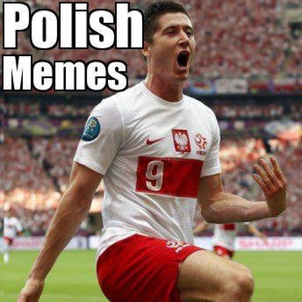 100% polish