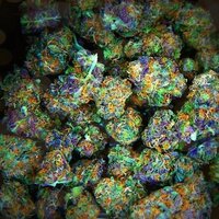 Weed Porn(@WeedPorns) 's Twitter Profile Photo