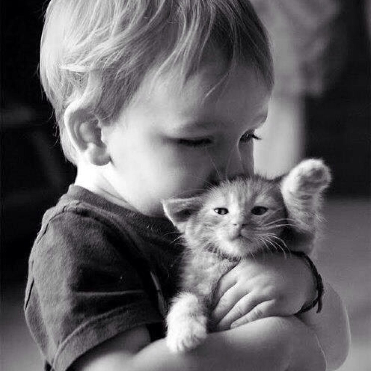 ||3 years old: Tw rp|| My mommy is @BansheeSeeker and my daddy is @GoofyDarkness