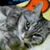 舞 (@maimoomin76) 's Twitter Profile