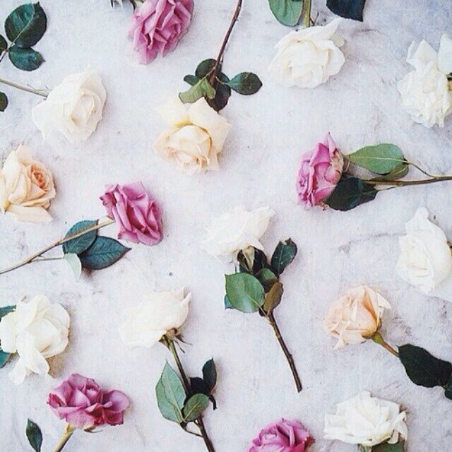 الهلاال♡