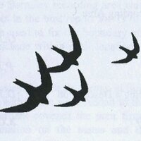 Barnsley Birders (@barnsleybsg) 's Twitter Profile