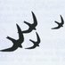 Barnsley Birders (@barnsleybsg) Twitter profile photo Barnsley Birders (@barnsleybsg) Twitter profile photo